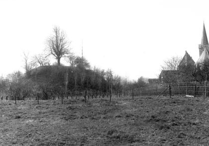 Foto van het landschap, rechts komt de kerktoren boven de boom uit