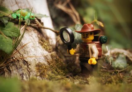 Lego figuur in de natuur